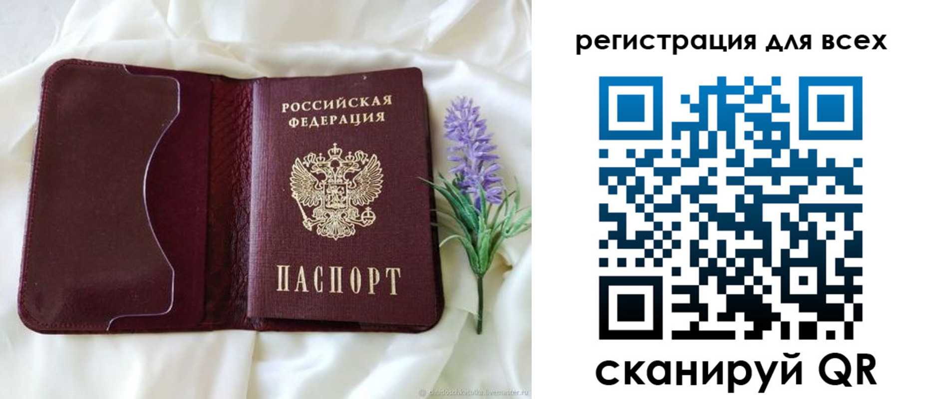 прописка 2025 в Сальске